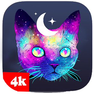 3D 4k cats wallpapers